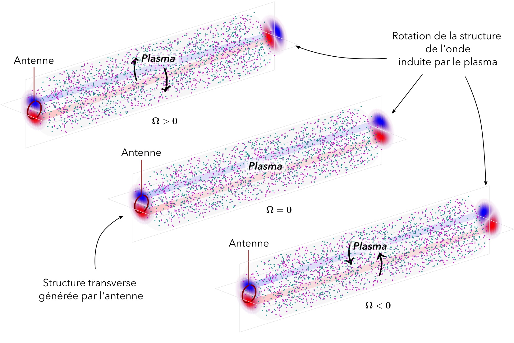 🔄 How a plasma rotates an image