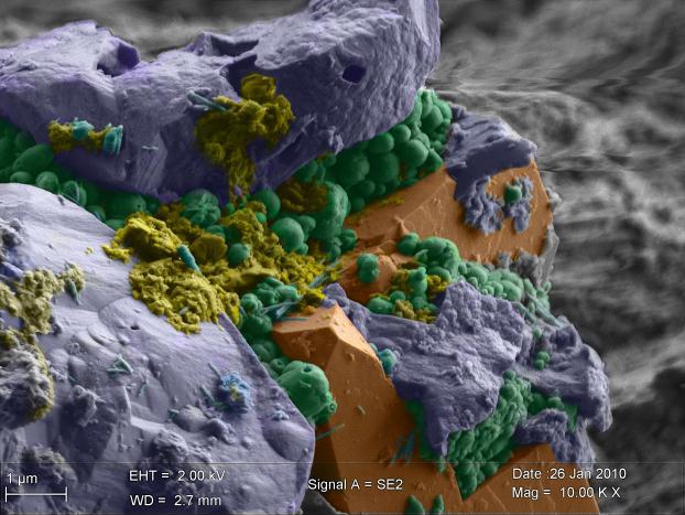 Manteau océanique: le plus grand habitat microbien sur Terre?