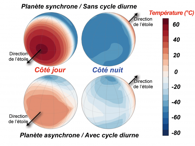 Alternance jour/nuit des exoplanètes habitables