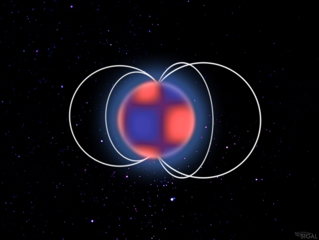 Première découverte d'une étoile delta Scuti magnétique