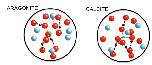Géométrie et isotopie du bore dans les carbonates de calcium: une mémoire pas si directe du pH des océans anciens
