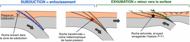 Un nouveau regard sur la dynamique de la subduction