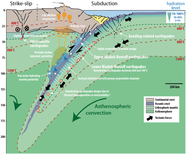 Des tremblements de terre déclenchés par la déshydratation du manteau lithosphérique