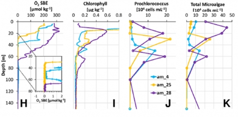 Le cycle caché de l'oxygène au sein des Zones de minimum d'oxygène (OMZ)
