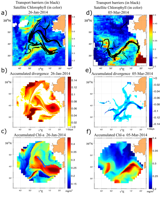 Comment les structures à fine échelle de la circulation océanique contrôlent la distribution phytoplanctonique