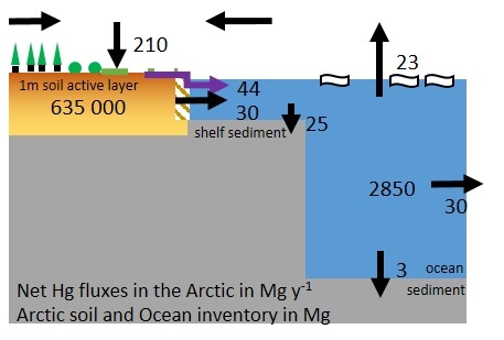 Les fleuves arctiques, important vecteur de mercure vers l'océan Arctique