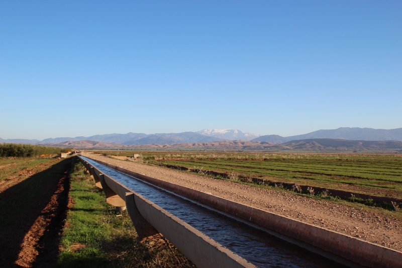 Vers une meilleure gestion de l’eau agricole en Méditerranée du Sud