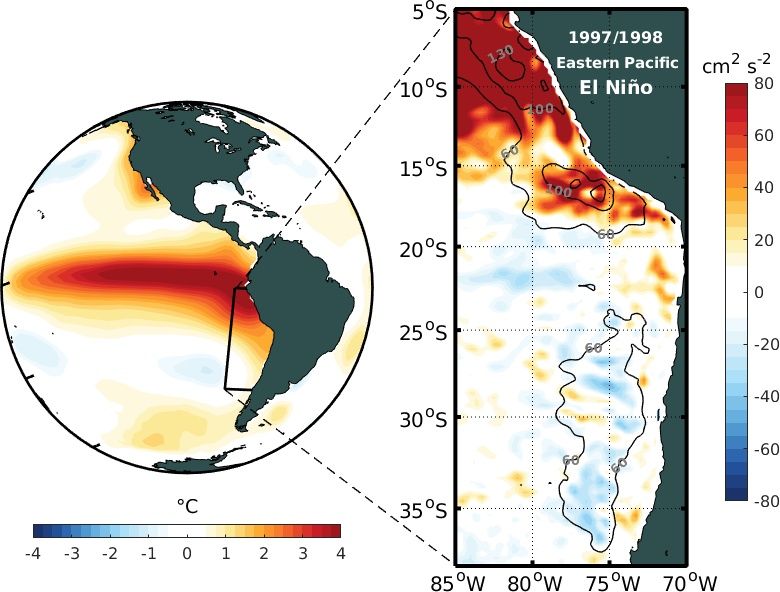 El Niño façonne les tourbillons océaniques