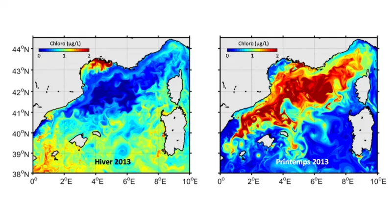 Alerte sur les formations d’eau dense en Méditerranée !