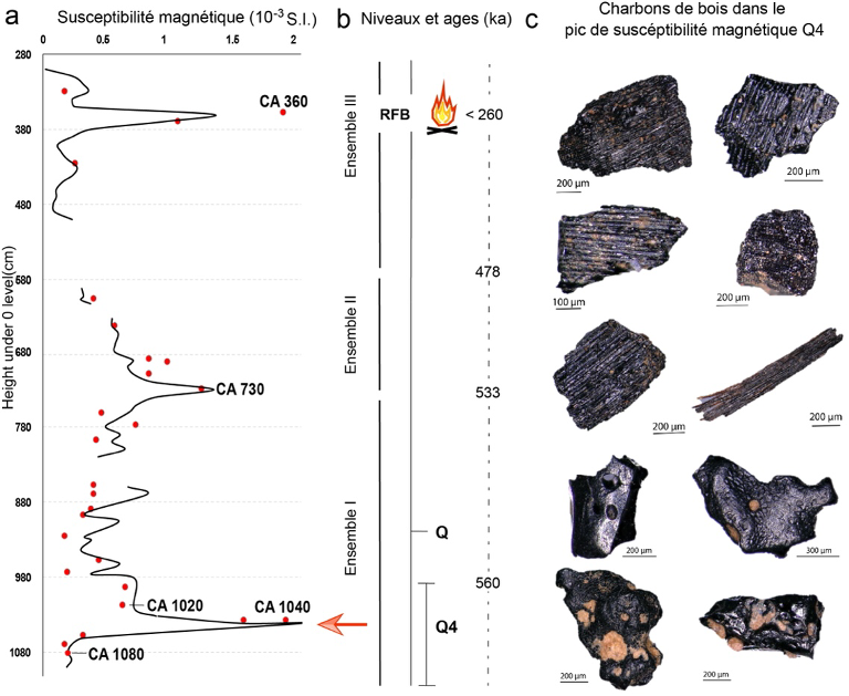 Découverte en France des plus anciennes traces de domestication du feu
