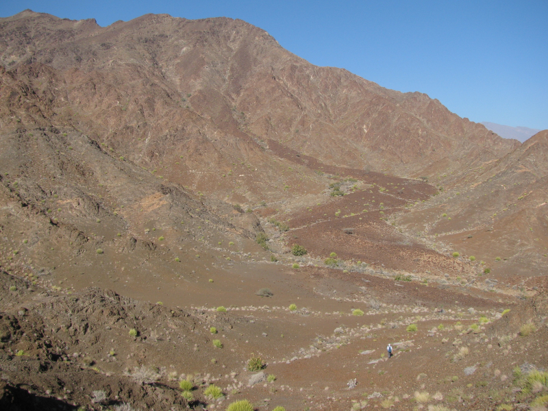 Une migration rapide des magmas sous les montagnes d’Oman