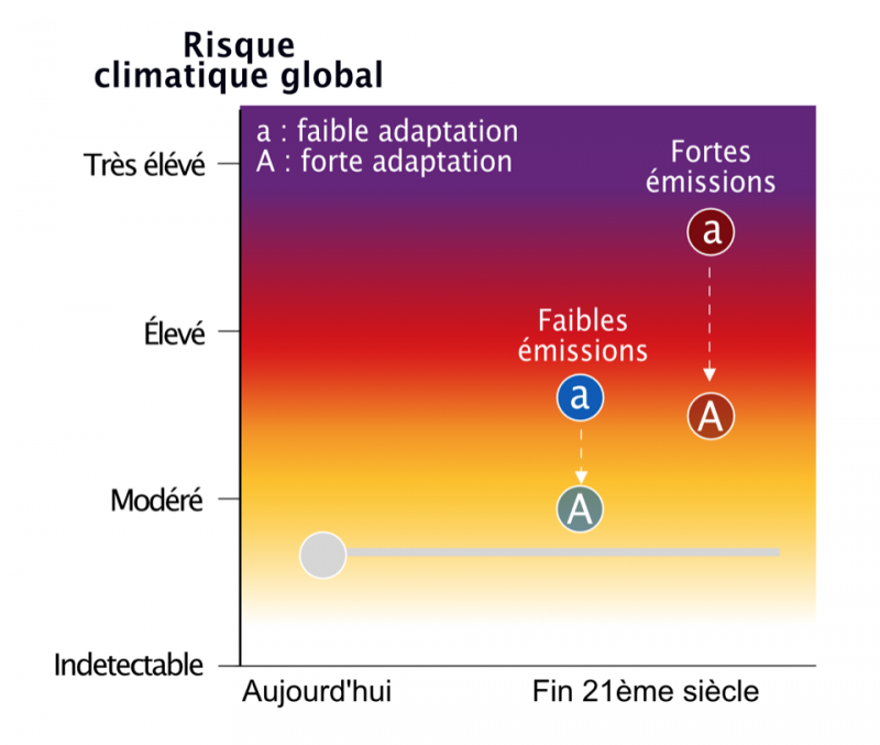 Estimation du risque global du changement climatique anthropique