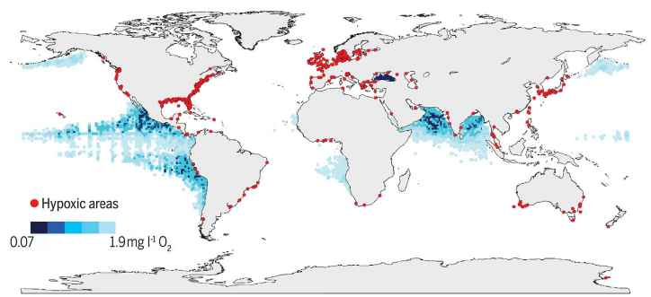 Désoxygénation océanique: un phénomène global accentué en milieu côtier