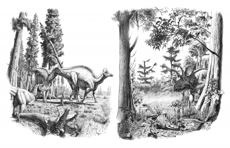 Les dinosaures ont-ils connu un long déclin avant leur extinction ?