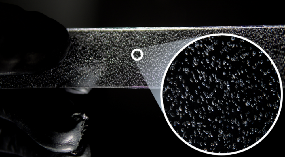 Photosynthèse: le plus fort flux d'absorption du CO2 atmosphérique