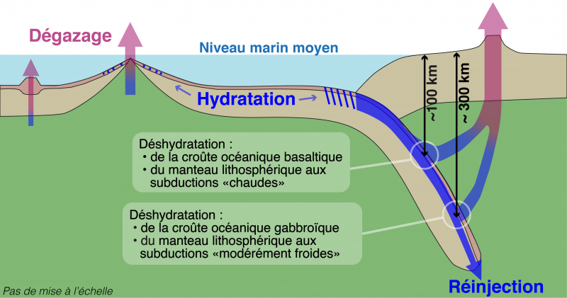 Le niveau marin stable à long terme malgré de grandes quantités d'eau subduites