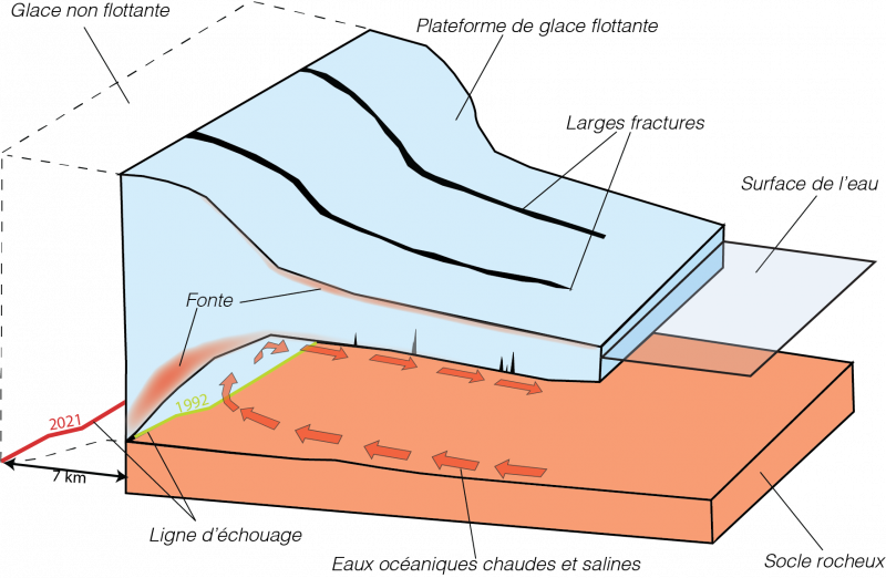 Un important glacier du Groenland montre des signes dramatiques d'affaiblissement