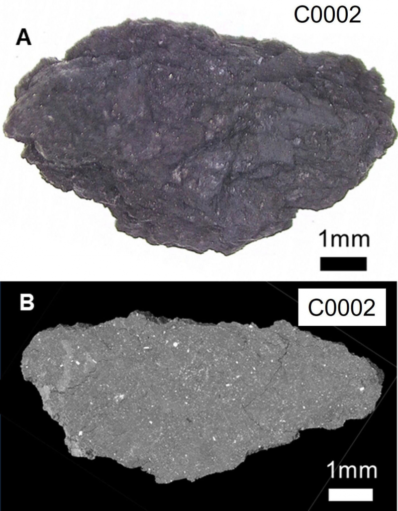Formation et évolution de l'astéroïde carboné Ryugu