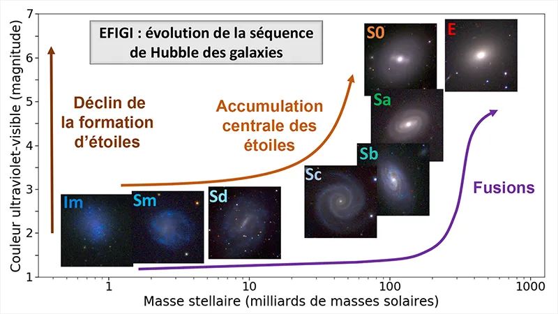 Les multiples visages des galaxies actuelles: leurs morphologies racontent leur évolution