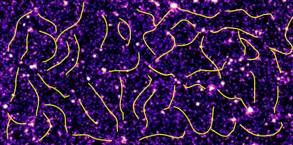 eROSITA: les grands filaments de la toile cosmique brillent