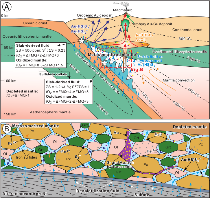 Gold, copper... why are these precious metals found in subduction zones? 🌋
