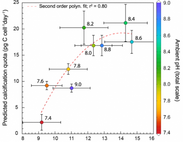 Effets de l’acidification océanique sur la production de calcite par les coccolithophoridés