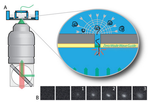 Visualiser le passage d'une molécule à travers le trou d'un nanotamis
