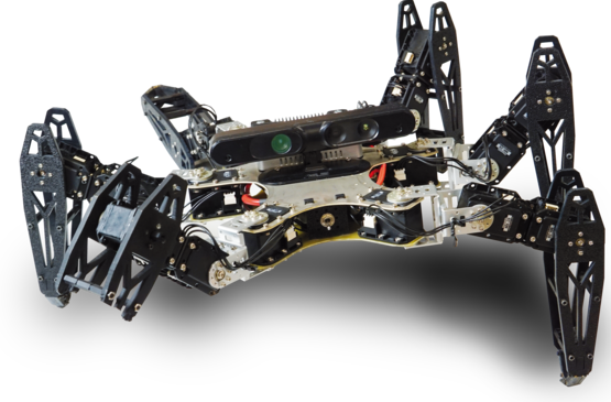 Des robots qui s’adaptent aux dommages en quelques minutes