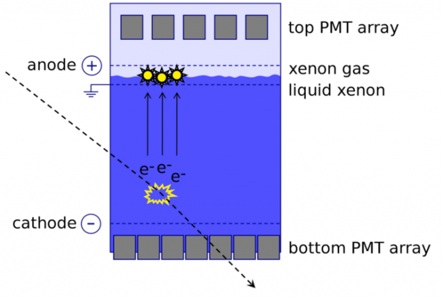 XENON1T : montée en puissance pour découvrir la matière noire