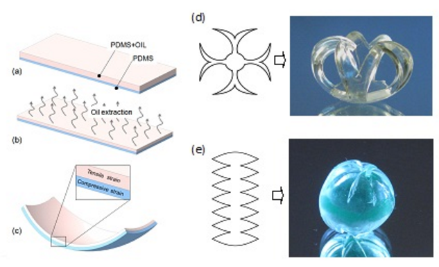Un matériau qui se transforme seul de 2D en 3D