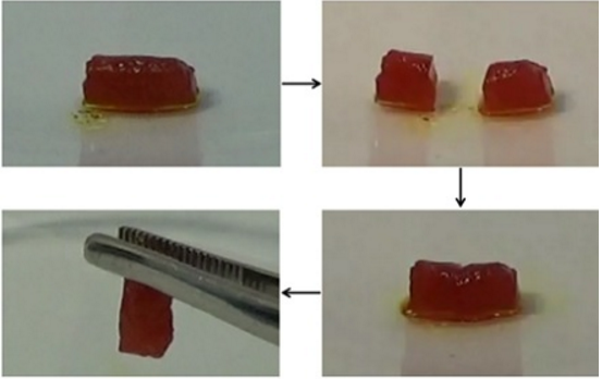 Des gels supramoléculaires « intelligents »