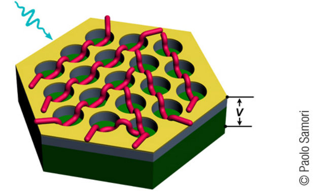 Des nanofils supramoléculaires intégrés pour une photodétection rapide