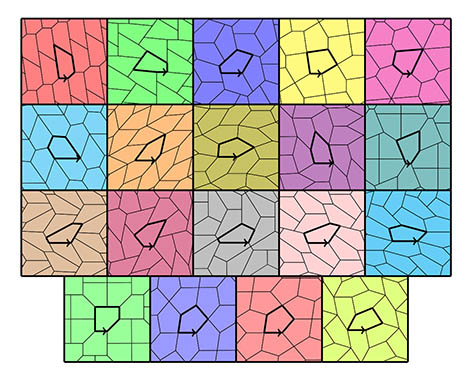 Il n'existe que 15 pavages pentagonaux possibles