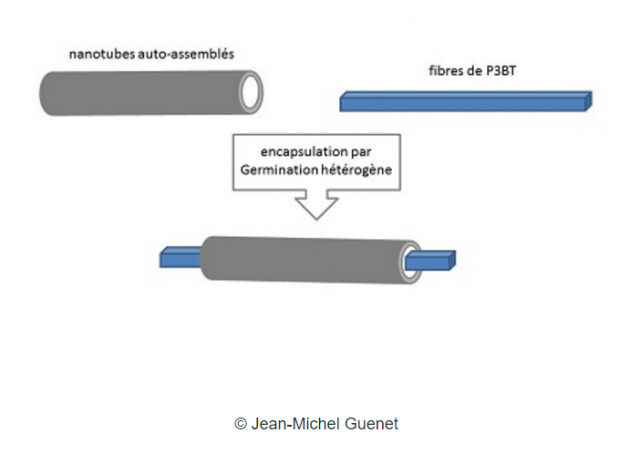 Un fil électrique moléculaire pour l’électronique organique ?