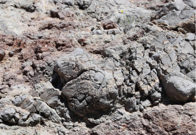 Il y a 360 millions d'années: des récifs dans la tourmente d'une extinction de masse