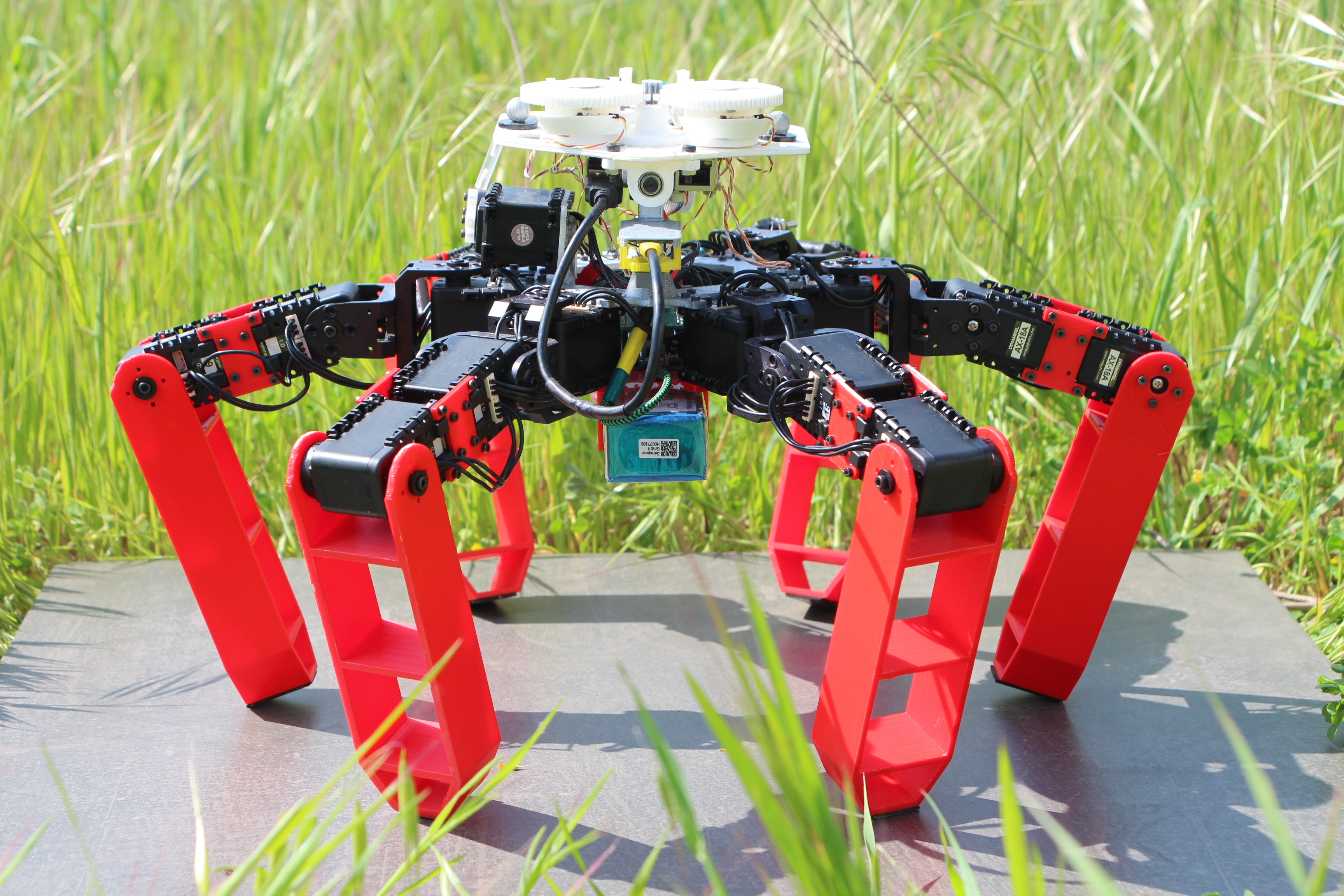 Le premier robot à pattes qui se déplace sans GPS