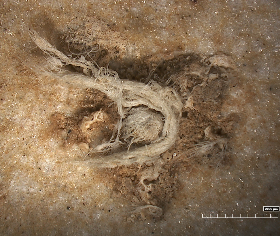Neandertal, tisseur de cordes