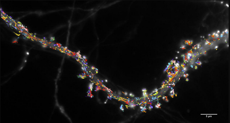 Un bond méthodologique pour explorer la mémoire