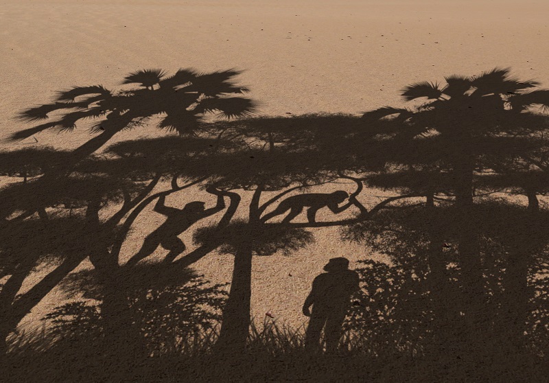 Sahelanthropus, plus ancien représentant de l’humanité, était bien bipède... mais pas que !