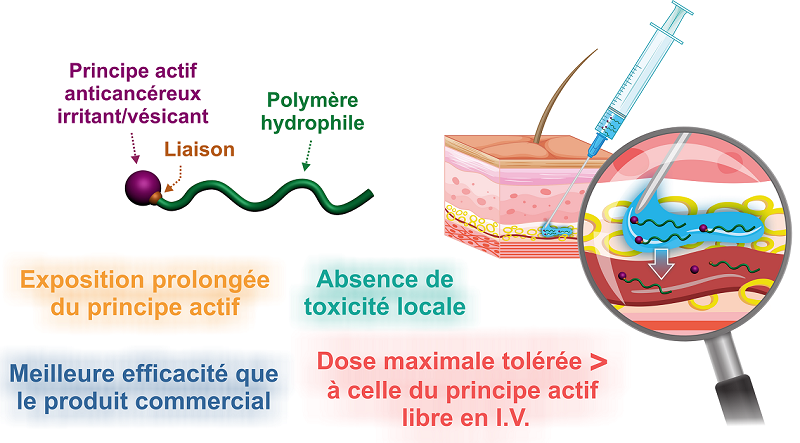 Chimiothérapie: vers une administration simplifiée par voie sous-cutanée