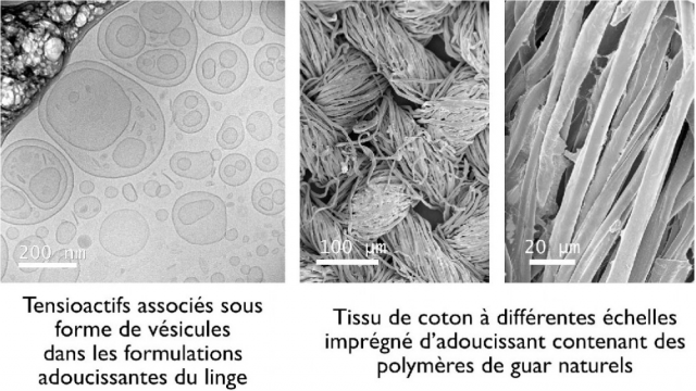 Vers un adoucissant du linge plus respectueux de l'environnement