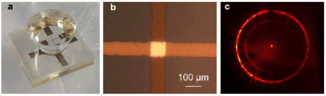 L’effet tunnel des électrons révélé par des photons infrarouges