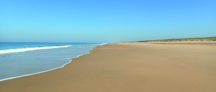 Les plages vont-elles vraiment disparaitre avec le changement climatique ?