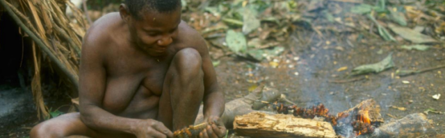 L'habitat et le mode de vie influencent notre épigénome