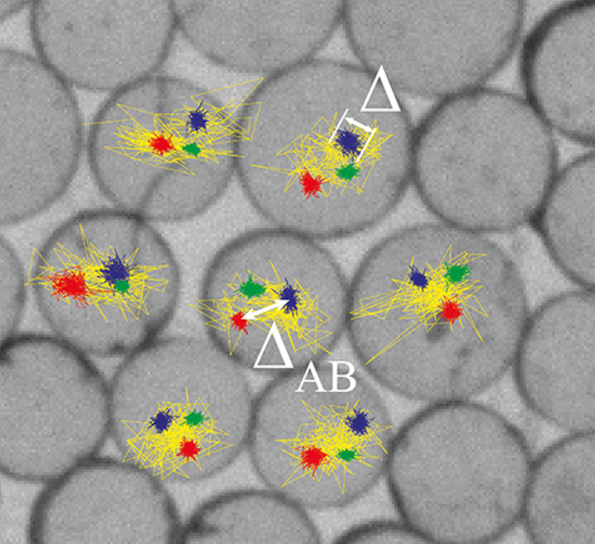 Première observation d’une phase vitreuse marginale du verre