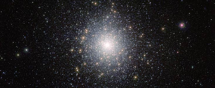 Un fouillis d'étoiles exotiques