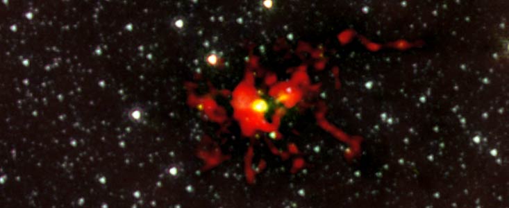 ALMA: un cliché prénatal révèle l'embryon d'une gigantesque étoile
