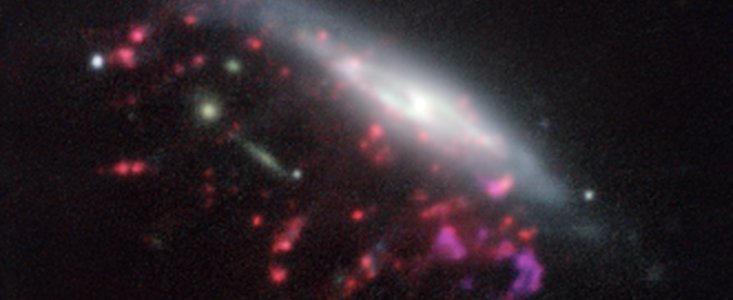 Des trous noirs supermassifs se nourrissent de méduses cosmiques