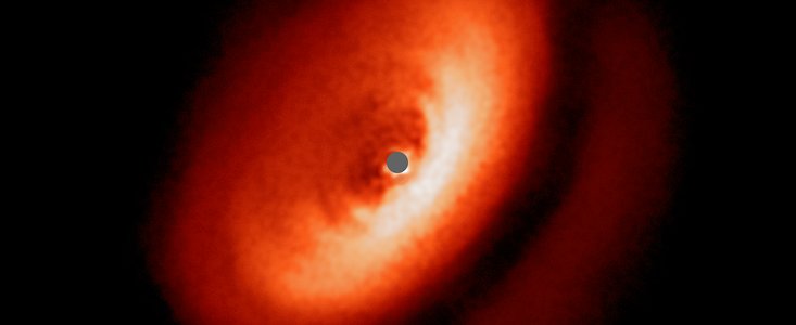 SPHERE révèle une formidable variété de disques autour de jeunes étoiles