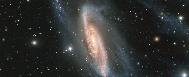 NGC 3981: un joyau galactique